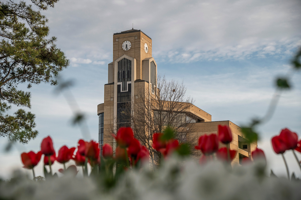 A-State clock tower framed by spring tulips and soft morning sky.
