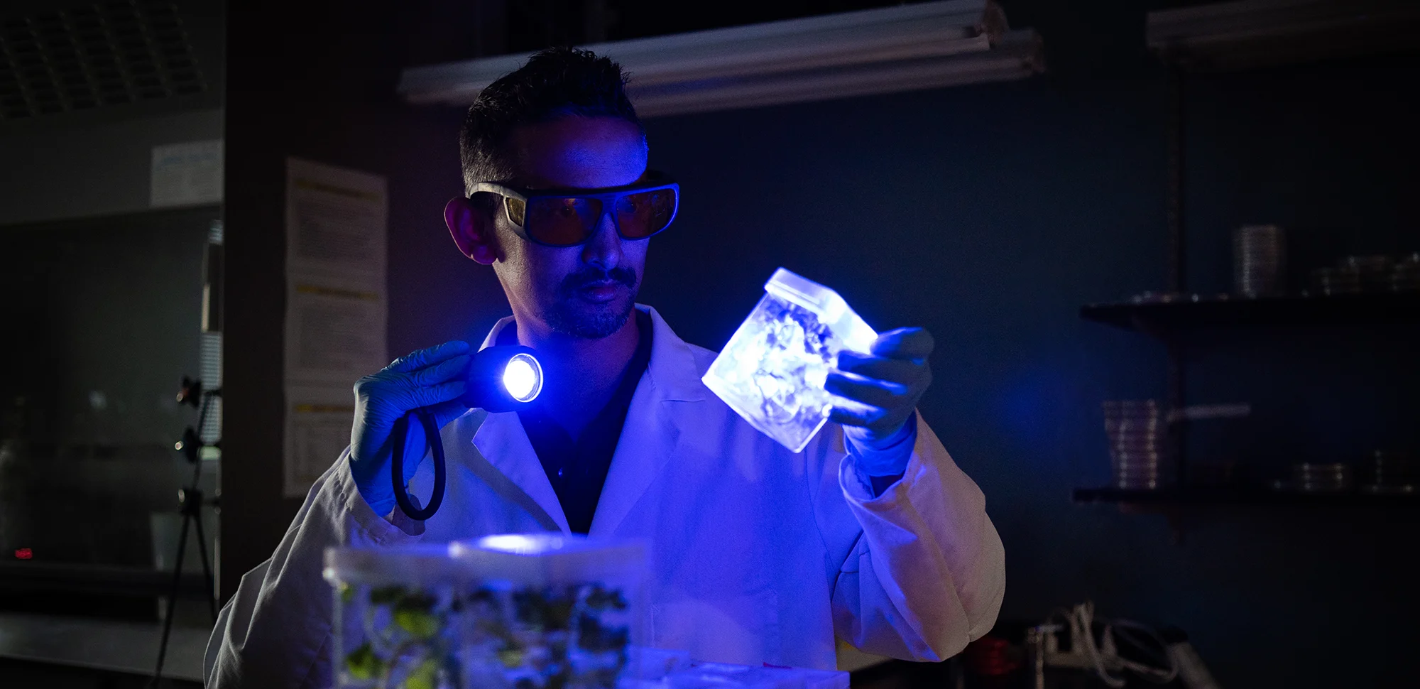 Professor using a blacklight to look at a beaker.