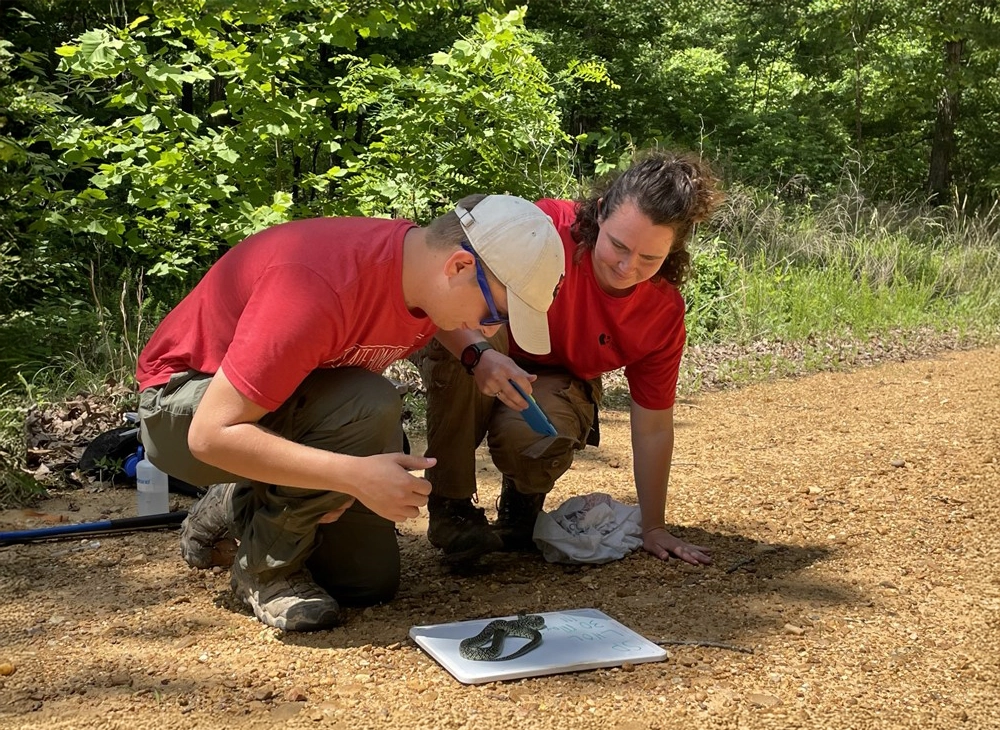 Students inspecting a snake out in the field.