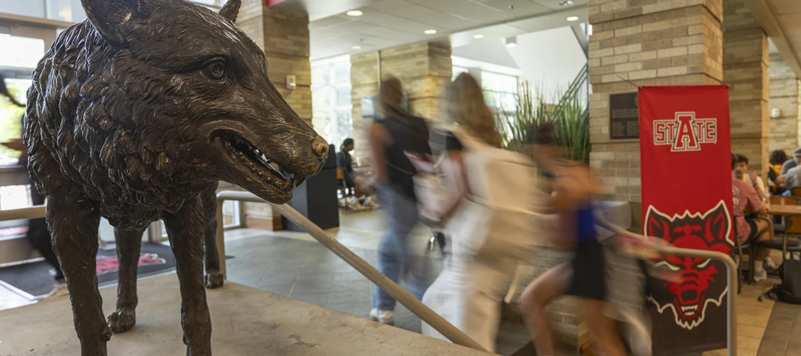 Long exposure of students walking by the wolf statue in the Reng Student Union.