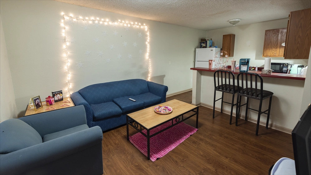 A living room with two sofas, a coffee table, and string lights on the wall. The open kitchen includes a breakfast bar and appliances.