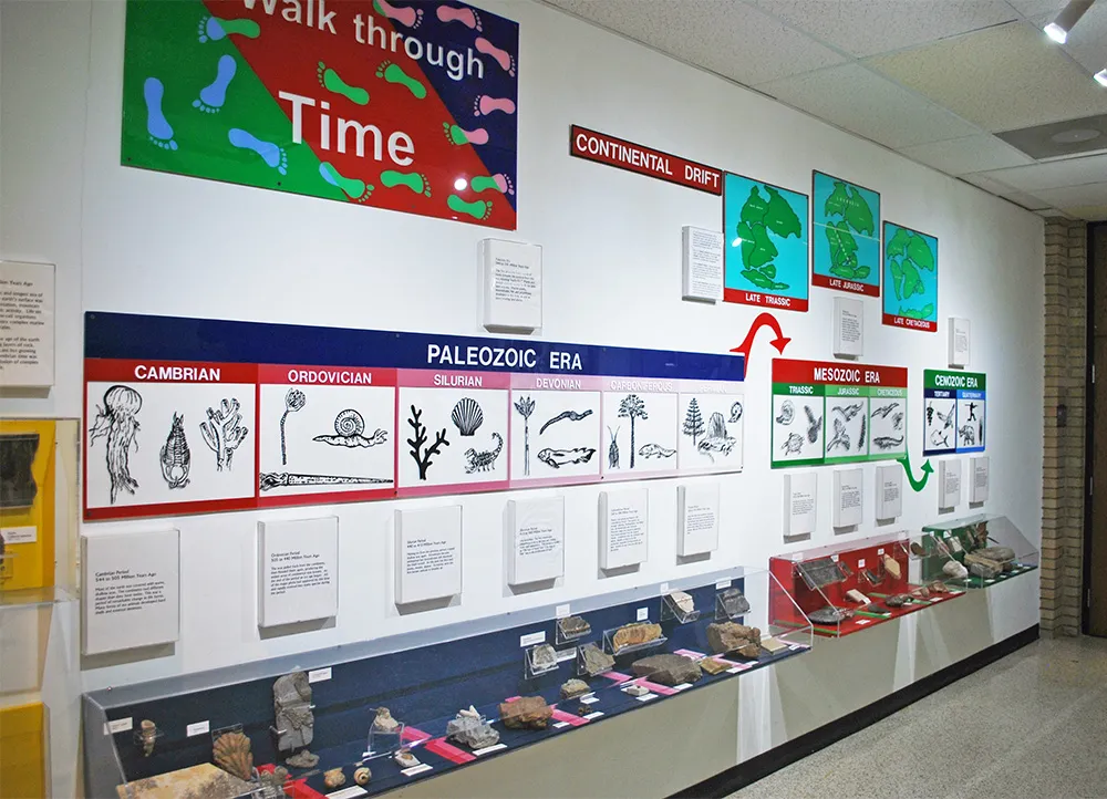 Walk Through Time exhibit that includes fossils and detailed graphs organized by time periods