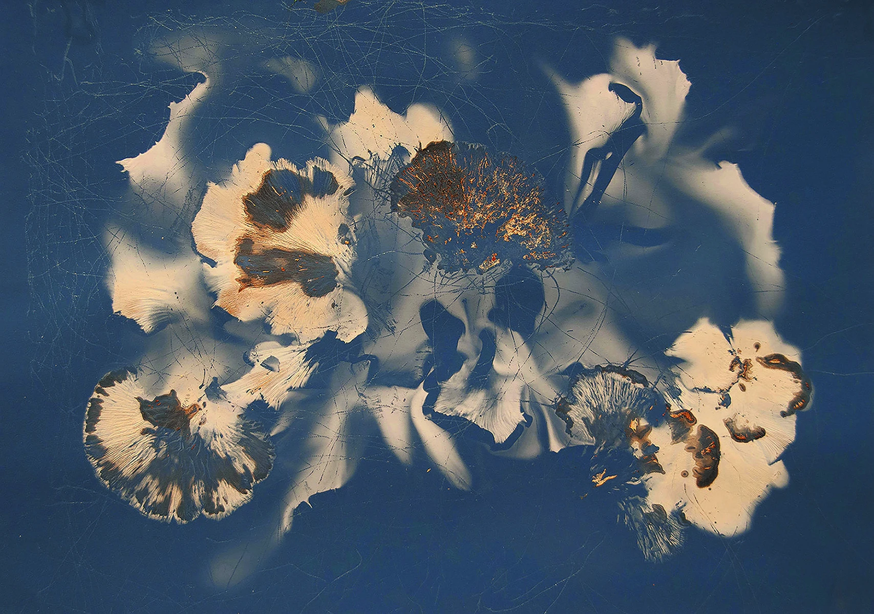 Delta National Small Prints Exhibition Dedicated to Evan Lindquist