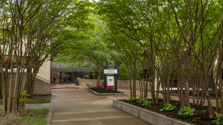 Top Journalism and Mass Communication Students Inducted into Kappa Tau Alpha