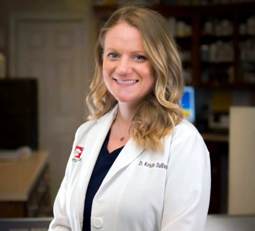 Dr. Kristin Sullivan Professional Headshot