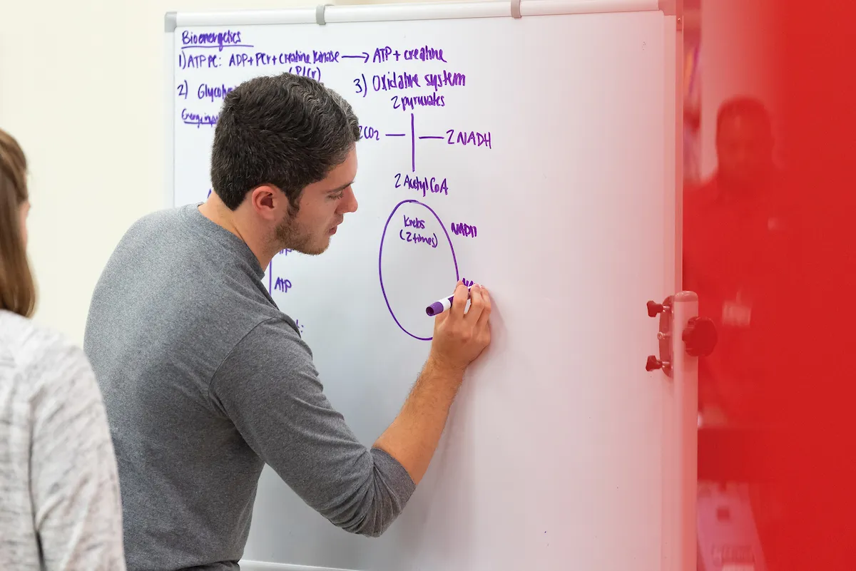 A tutor works on a white board to explain material to students.