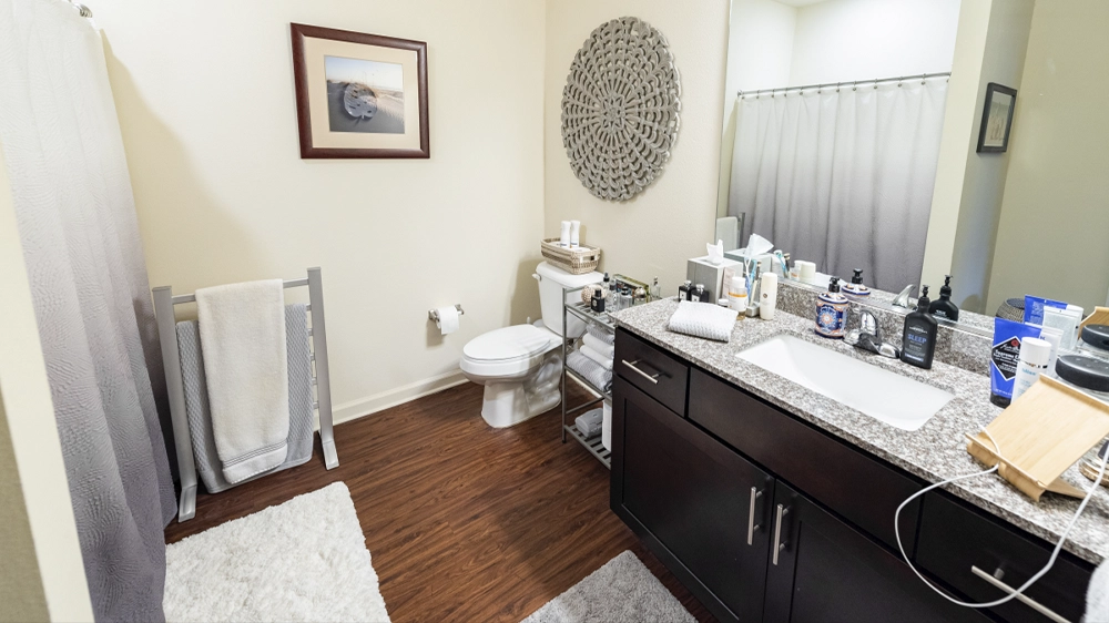 Bathroom with granite countertop, sink, and decorative wall piece above toilet.