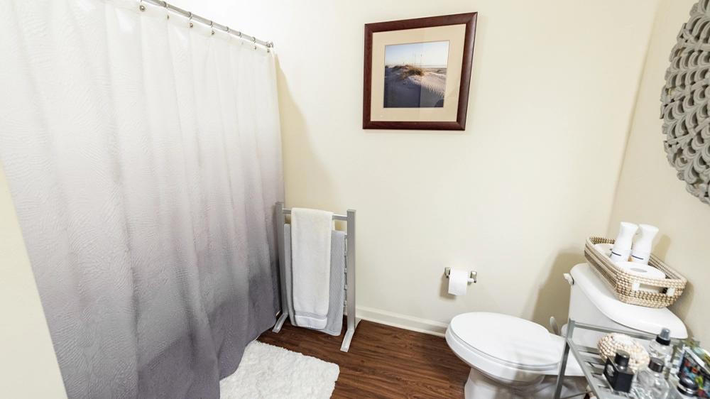 Bathroom with shower curtain, toilet, and framed wall art.