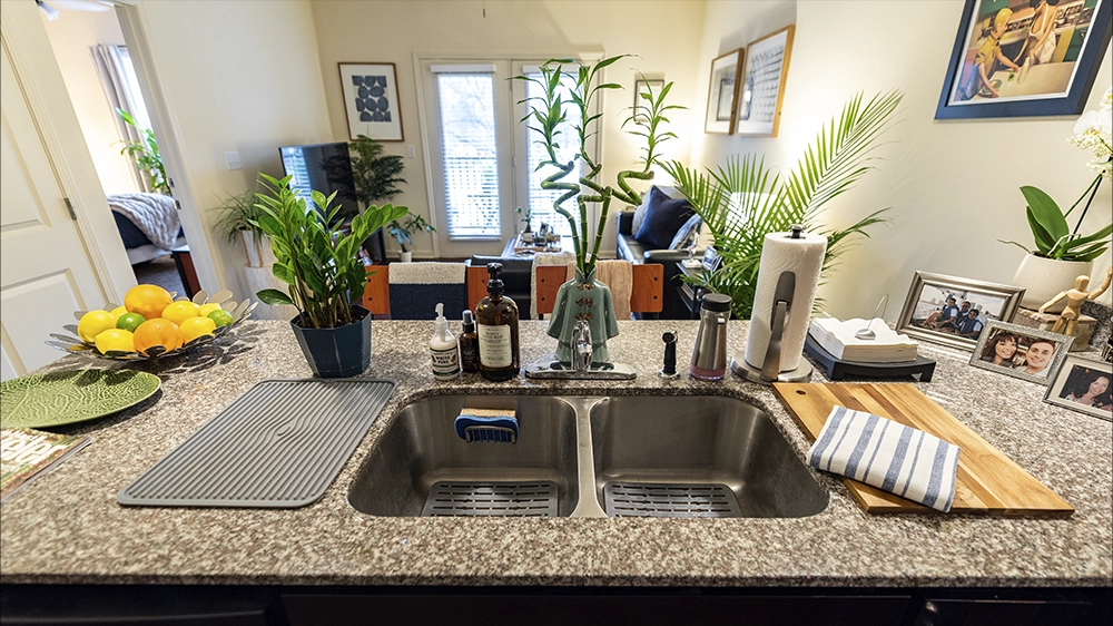 Close-up of double sink on granite countertop with plants and decor, looking toward living room with natural light.