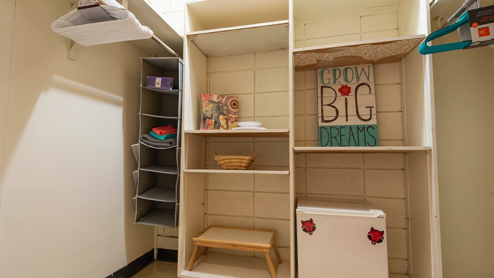 Closet with multiple shelves, a mini fridge, and decorative items. Hanging rod with fabric organizer is visible on the left side.