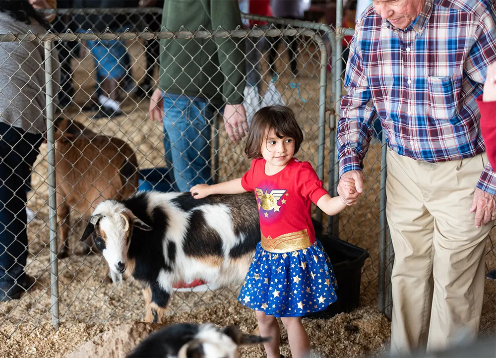 smiling girl petting a goat at Farm Day