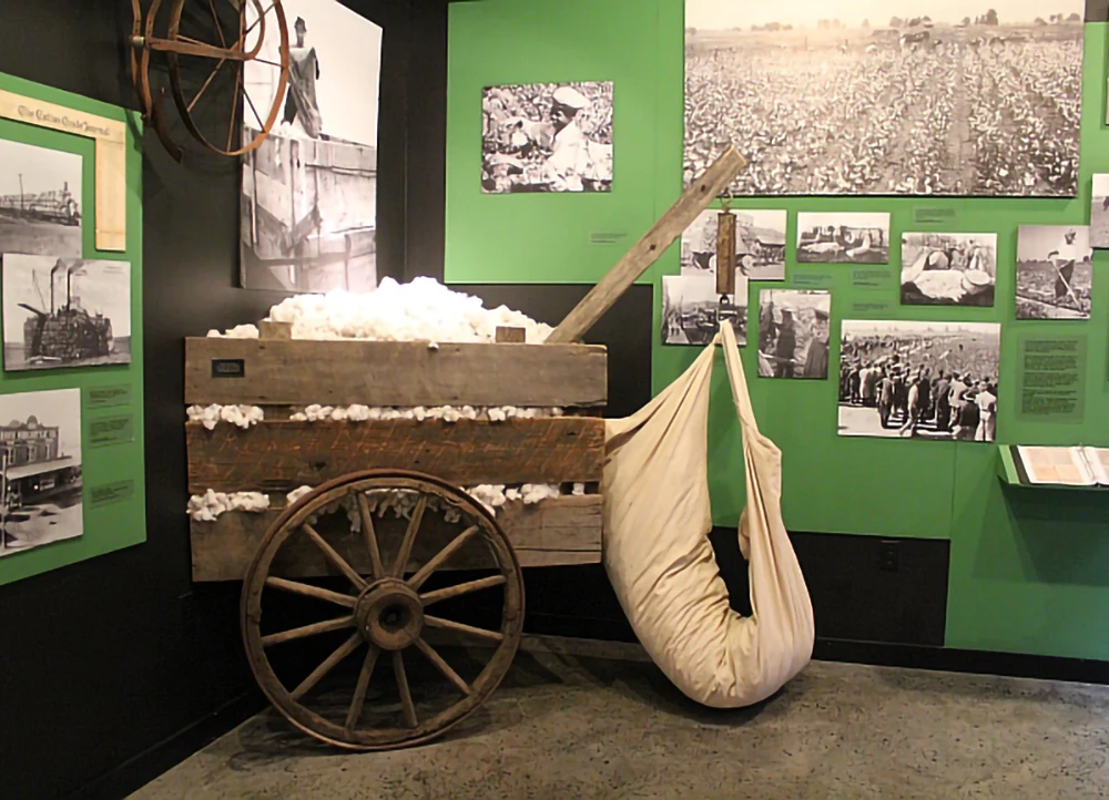 Exhibition inside the STFM including a wheelbarrow of cotton.