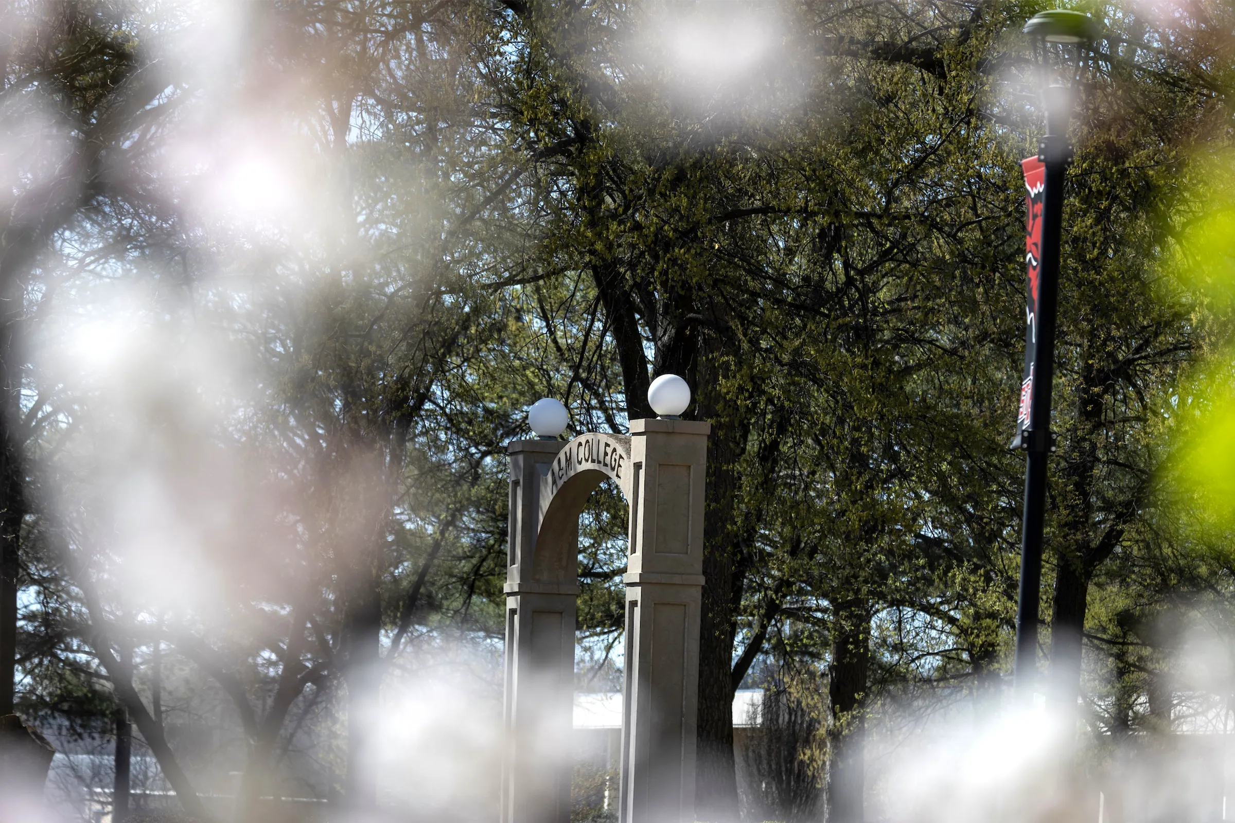 A-State arch surrounded by trees