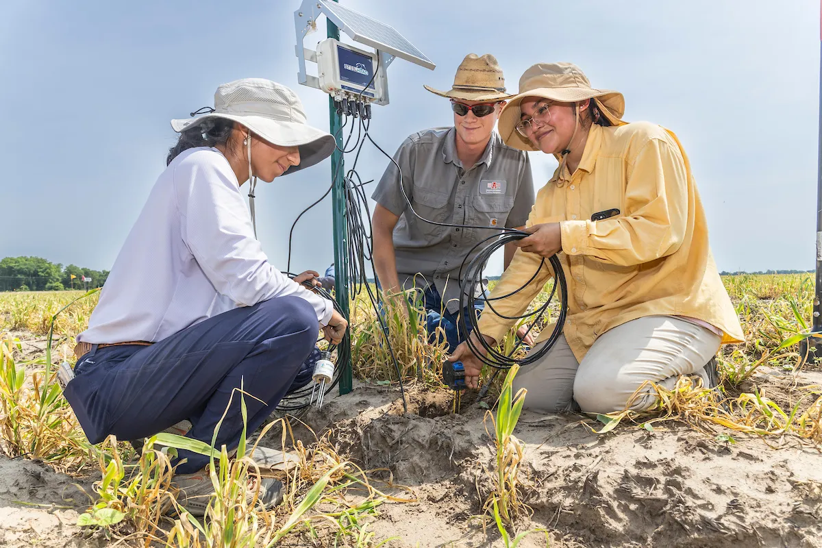 Group of agriculture students install soil sensors with solar equipment in a field.