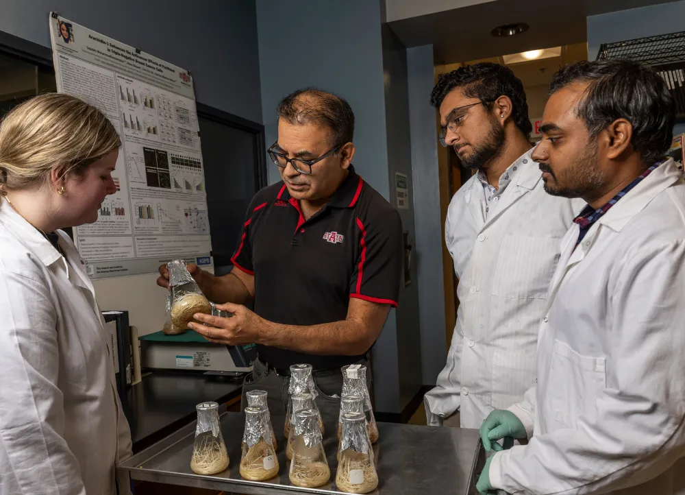 Students going over research materials with a professor.