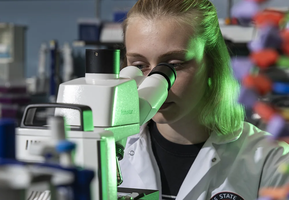 Student Looking through Microscope