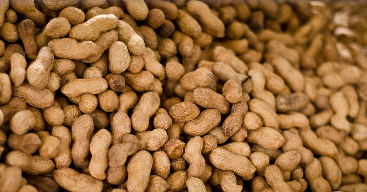 Medina-Bolivar is January Research Professor of the Month